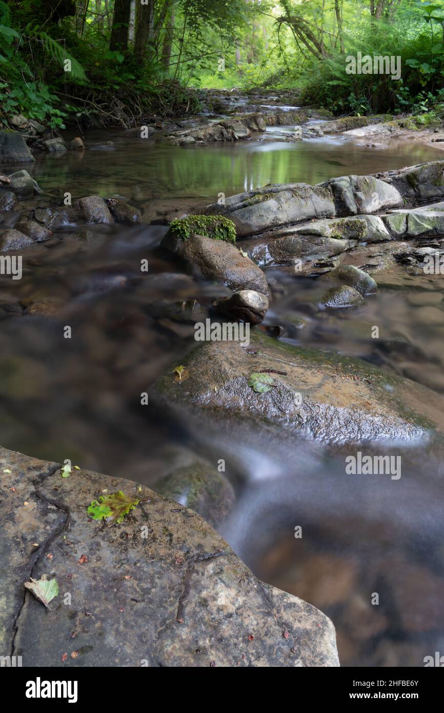 Forest landscape with rapid shallow stream with crystal