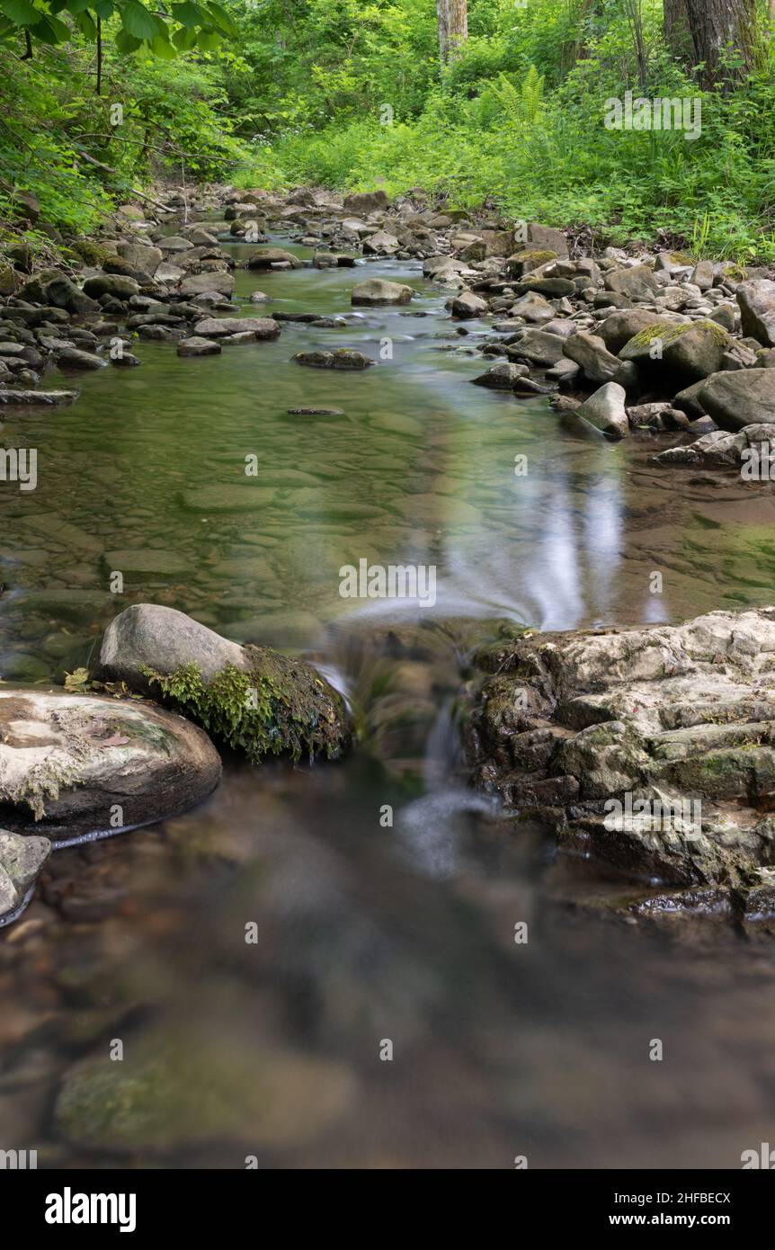 Shallow Mountain Stream In Green Forest At Summer Water Flows Over Wet