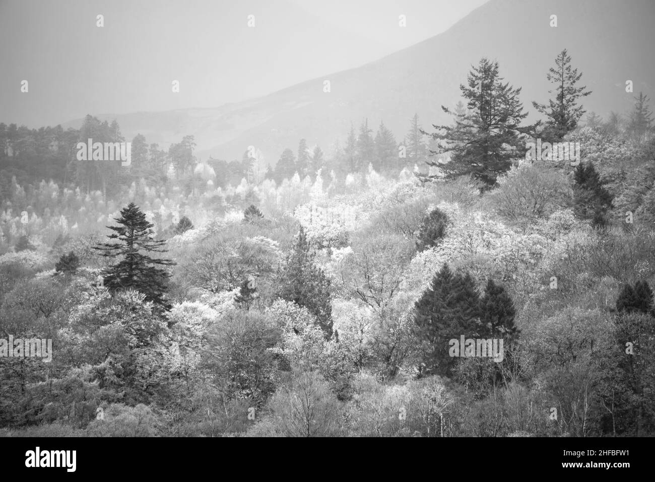 Black and white Beautiful Lake District landscape image of vibrant