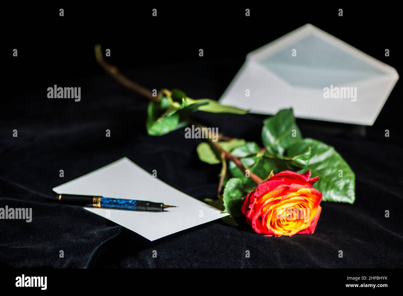 Close-up of a fiery red rose lying on black velvet with envelope and fountain pen at aperture f3. Stock Photo