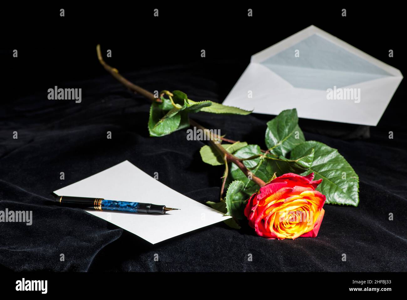 Close-up of a fiery red rose lying on black velvet with envelope and fountain pen at aperture f8. Stock Photo