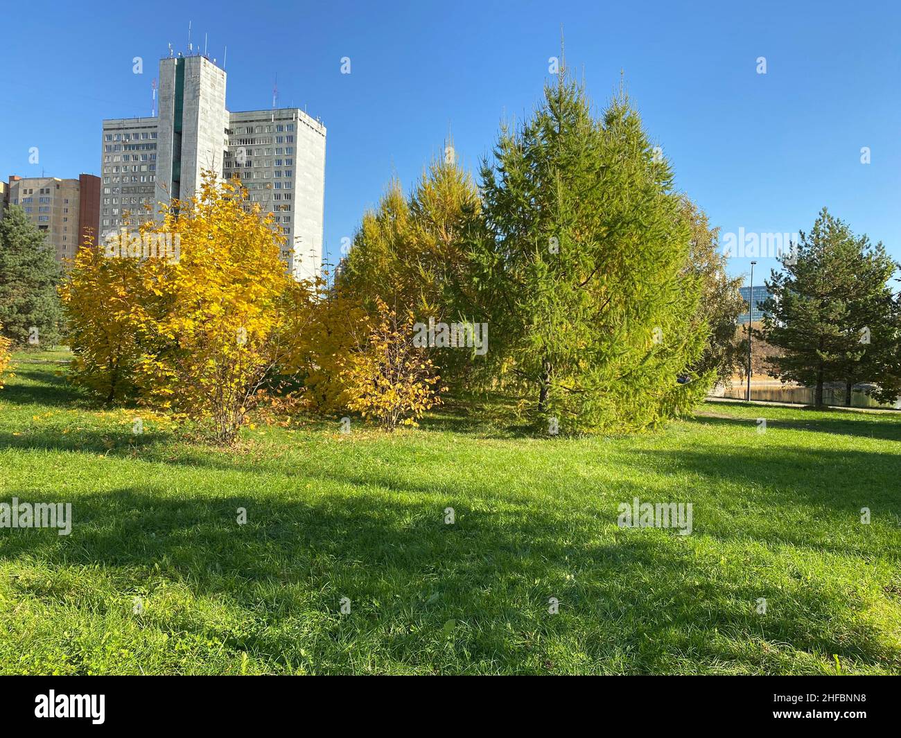 autumn in city park at dry sunny day Stock Photo - Alamy