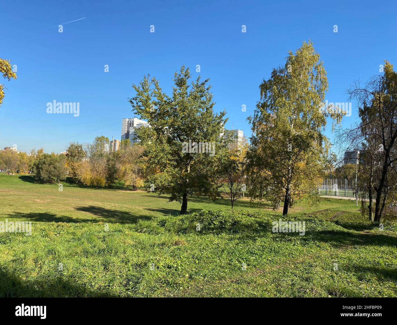 autumn in city park at dry sunny day Stock Photo - Alamy