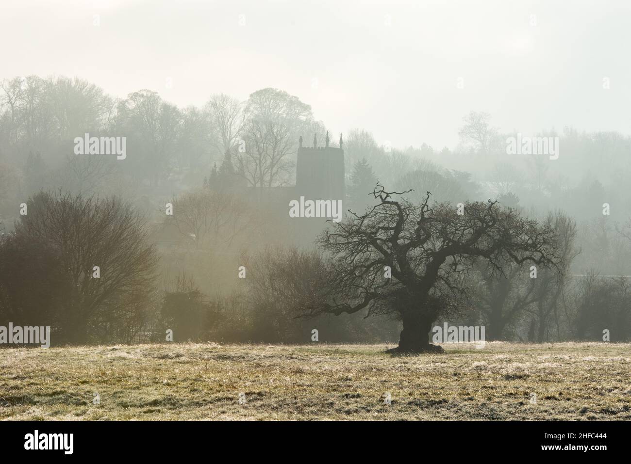 Woolsthorpe, Vale of Belvoir, UK. 15th Jan 2022. The Church of St James in the fog at Woolsthorpe in the Vale of Belvoir. Neil Squires/Alamy Live News Stock Photo