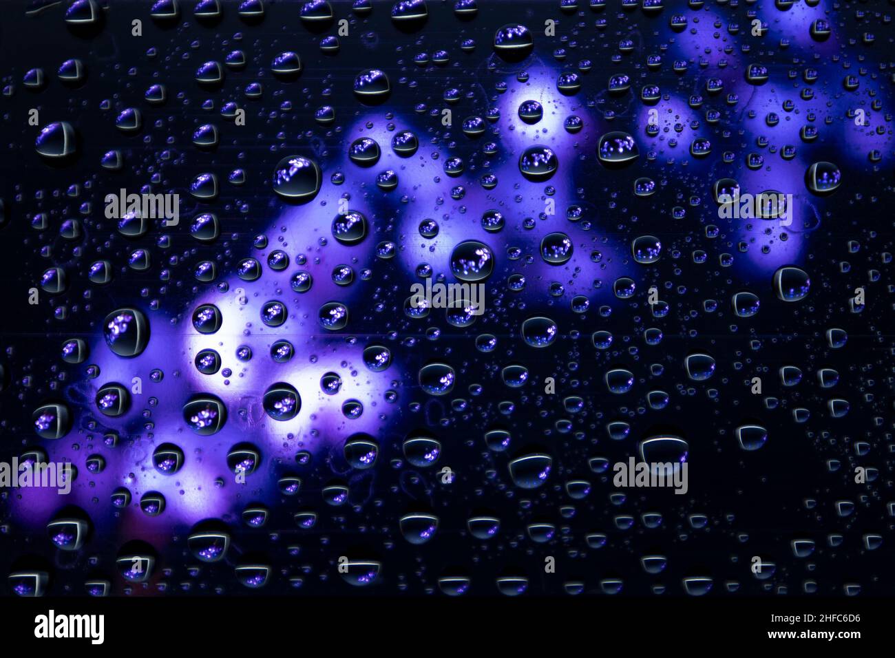 Blue flower with water drops. Blurred background. Stock Photo