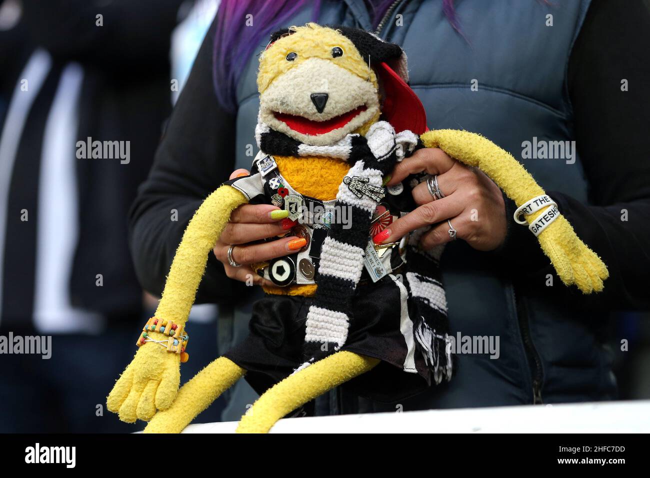 Newcastle united fc mascot hires stock photography and images Alamy