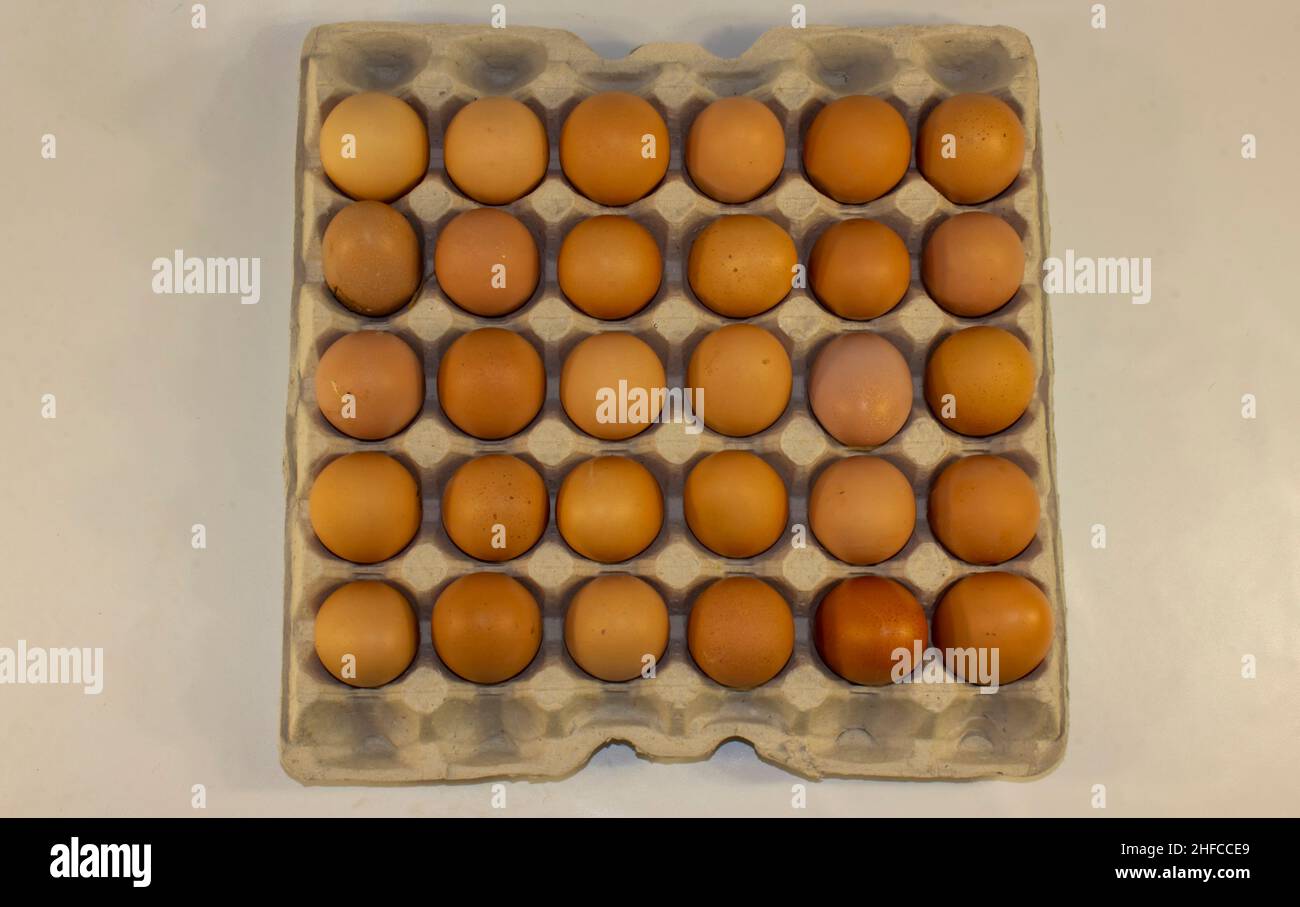 Chicken eggs in tray isolated on white. Stock Photo