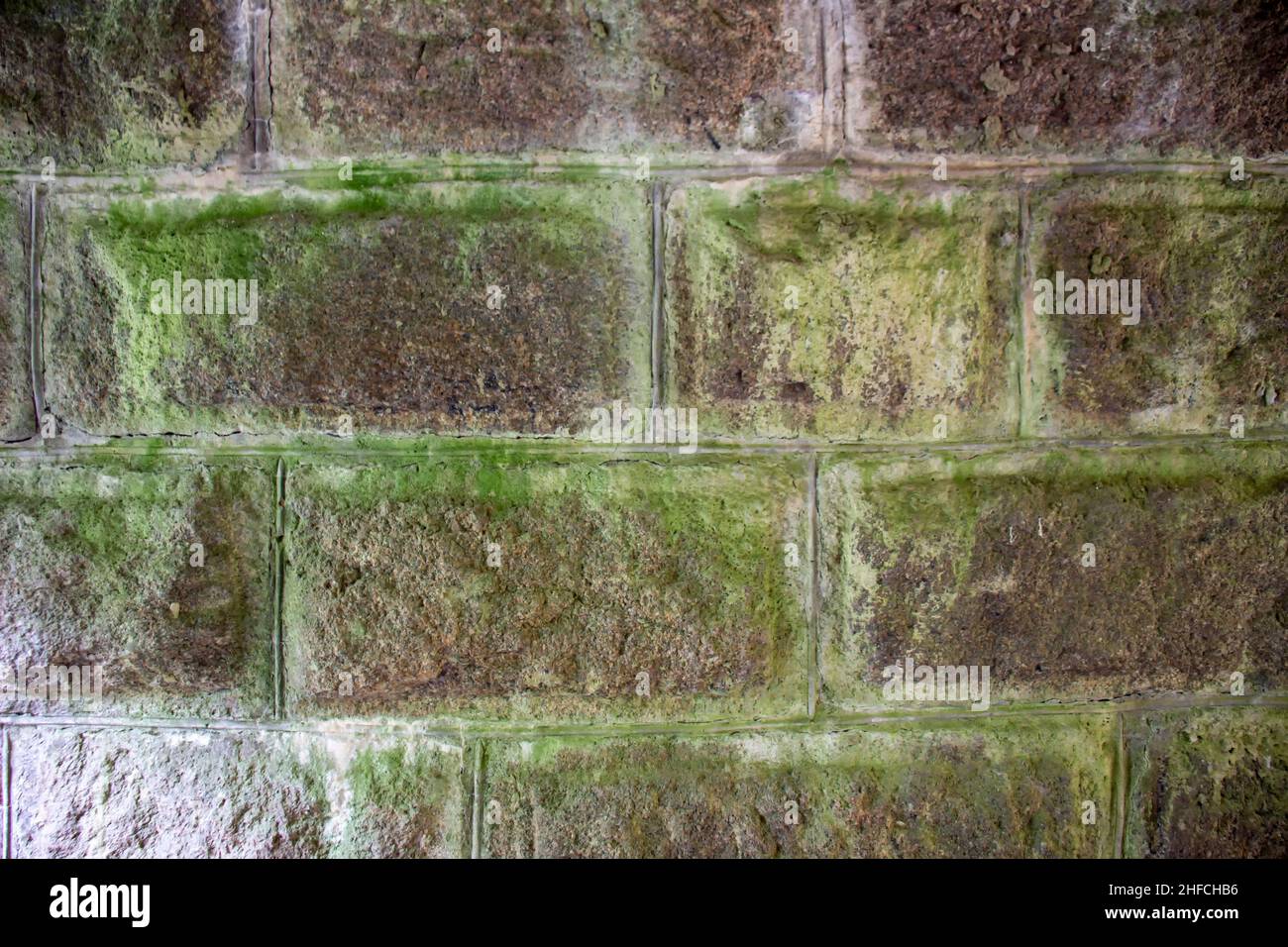 Stone wall with green moss. Stock Photo