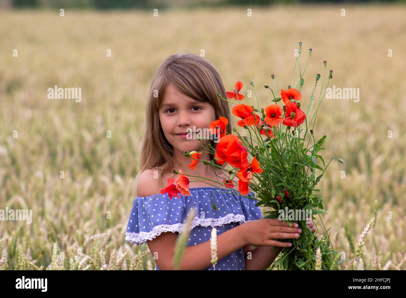 Little girl on a wheat field with red poppies Stock Photo - Alamy