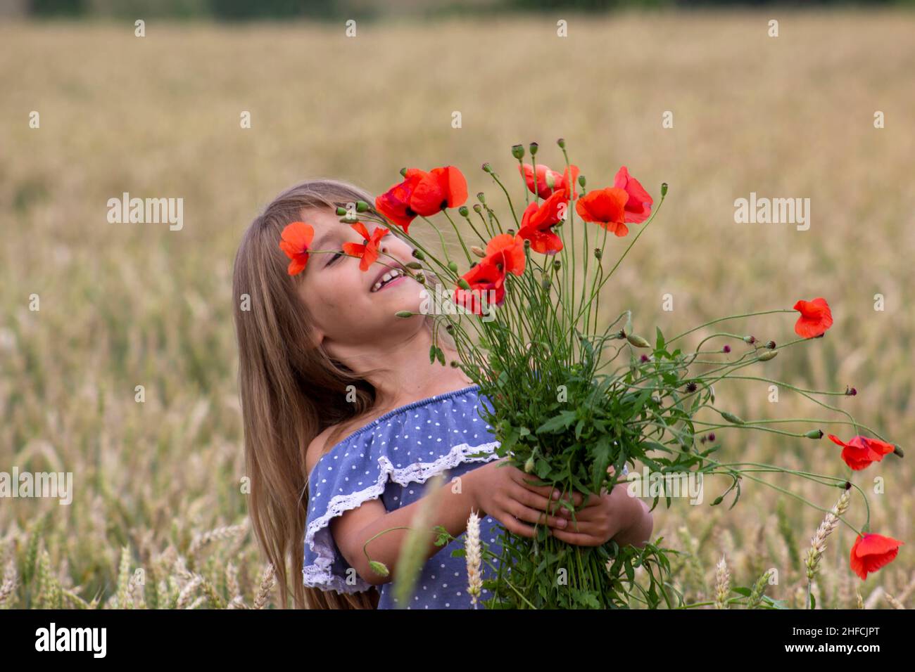 Little girl on a wheat field with red poppies Stock Photo - Alamy