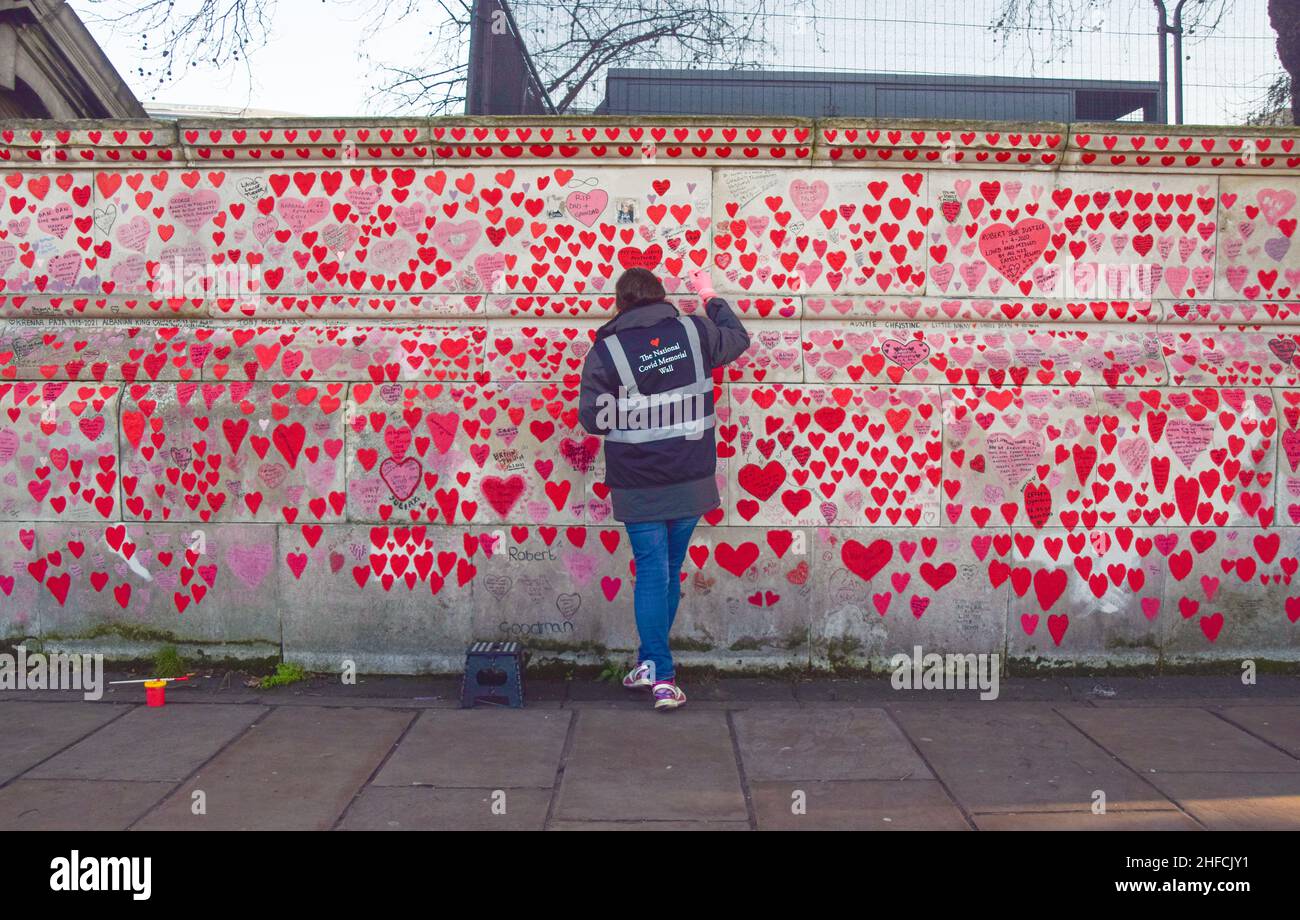 London, UK. 14th Jan, 2022. A volunteer paints red hearts on the National Covid Memorial Wall. Over 150,000 hearts have been painted to date on the wall outside St Thomas' Hospital opposite the Houses of Parliament, one for each life lost to COVID-19. Credit: SOPA Images Limited/Alamy Live News Stock Photo