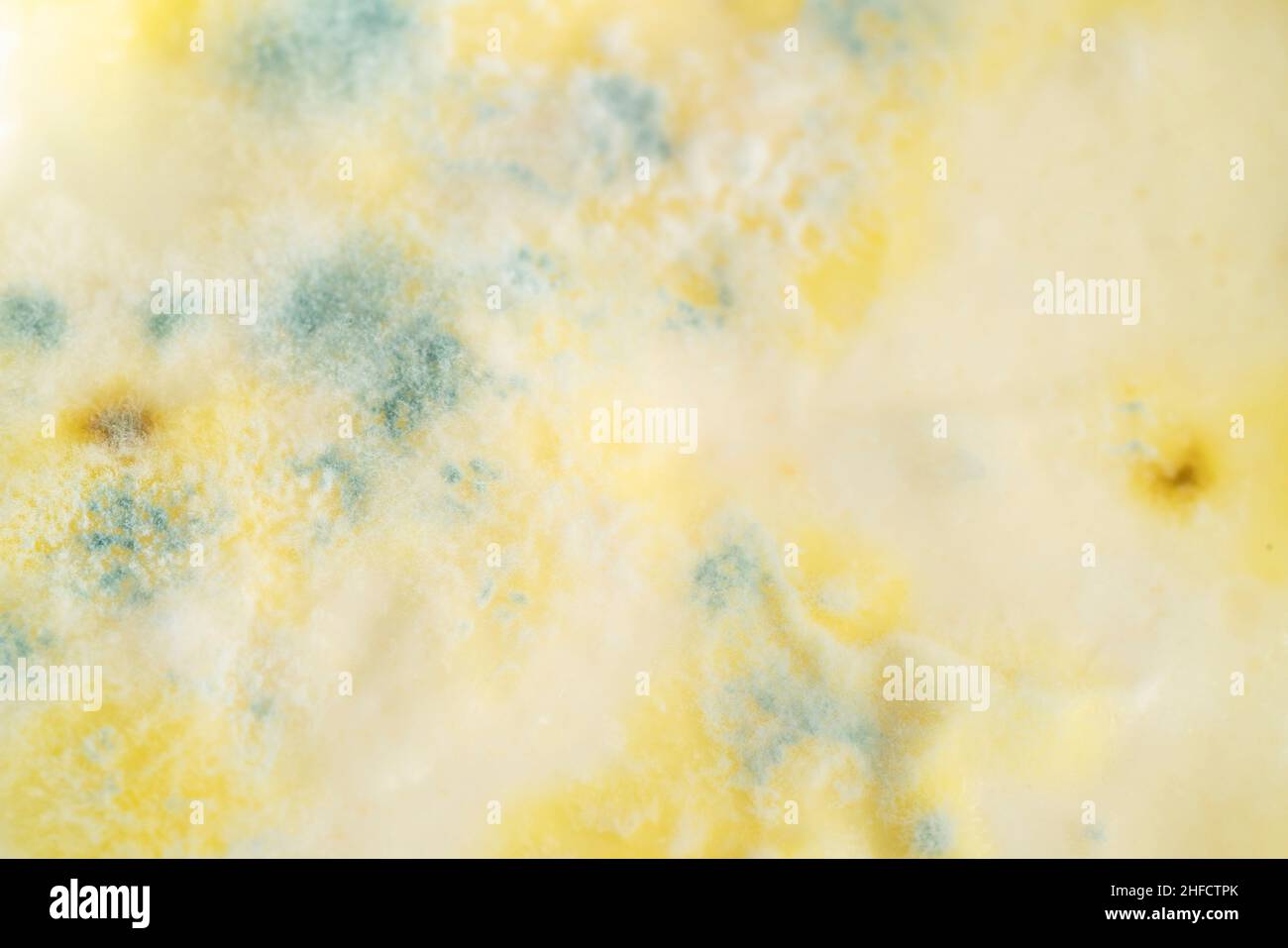 moldy food, growth of mold on yogurt or dairy product food surface exceeded expiry date. rotten food surface Stock Photo