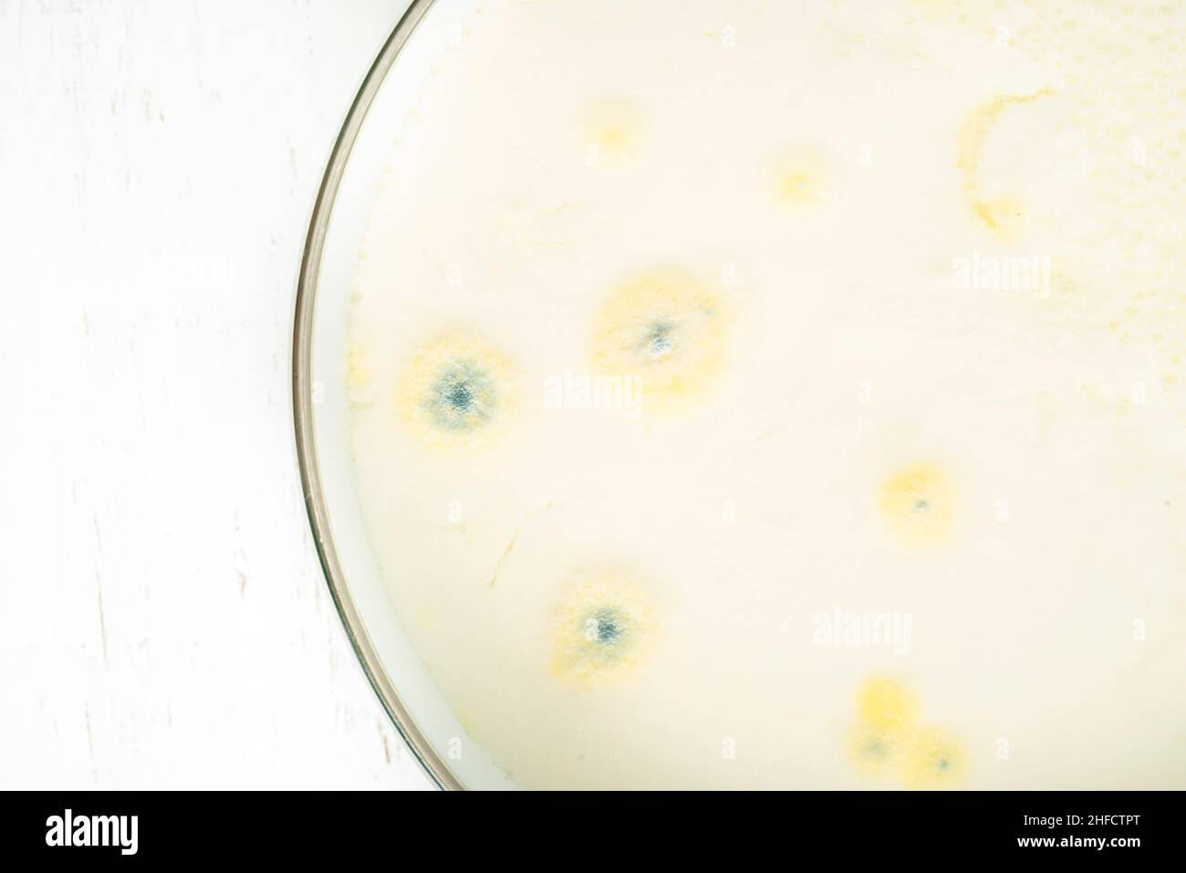 moldy yogurt, growth of mold on yogurt or dairy product food surface exceeded expiry date. rotten yoghurt or milk background Stock Photo