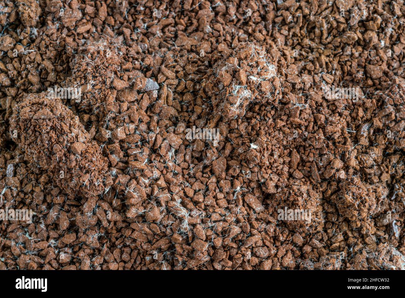 Coffee Grounds Has Mold at Jerry Stovall blog