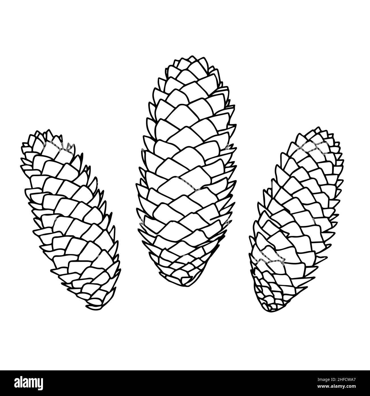 Contour drawing of pine cones isolated on a white background. Doodle style. Stock Vector