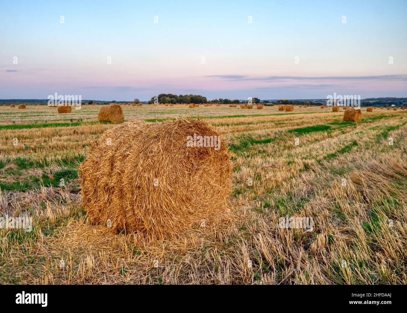 Beautiful summer farm scenery with haystacks. Field evening landscape ...