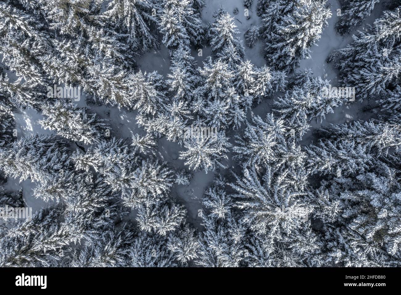 Aerial view snowy winter trees hi-res stock photography and images - Alamy