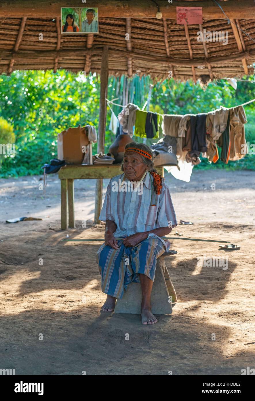 Senior indigenous Achuar tribe leader of the Kapawi community in the Amazon rainforest, Ecuador Stock Photo