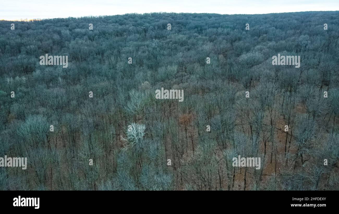 Autumn treetops from above with the hills. Stock Photo