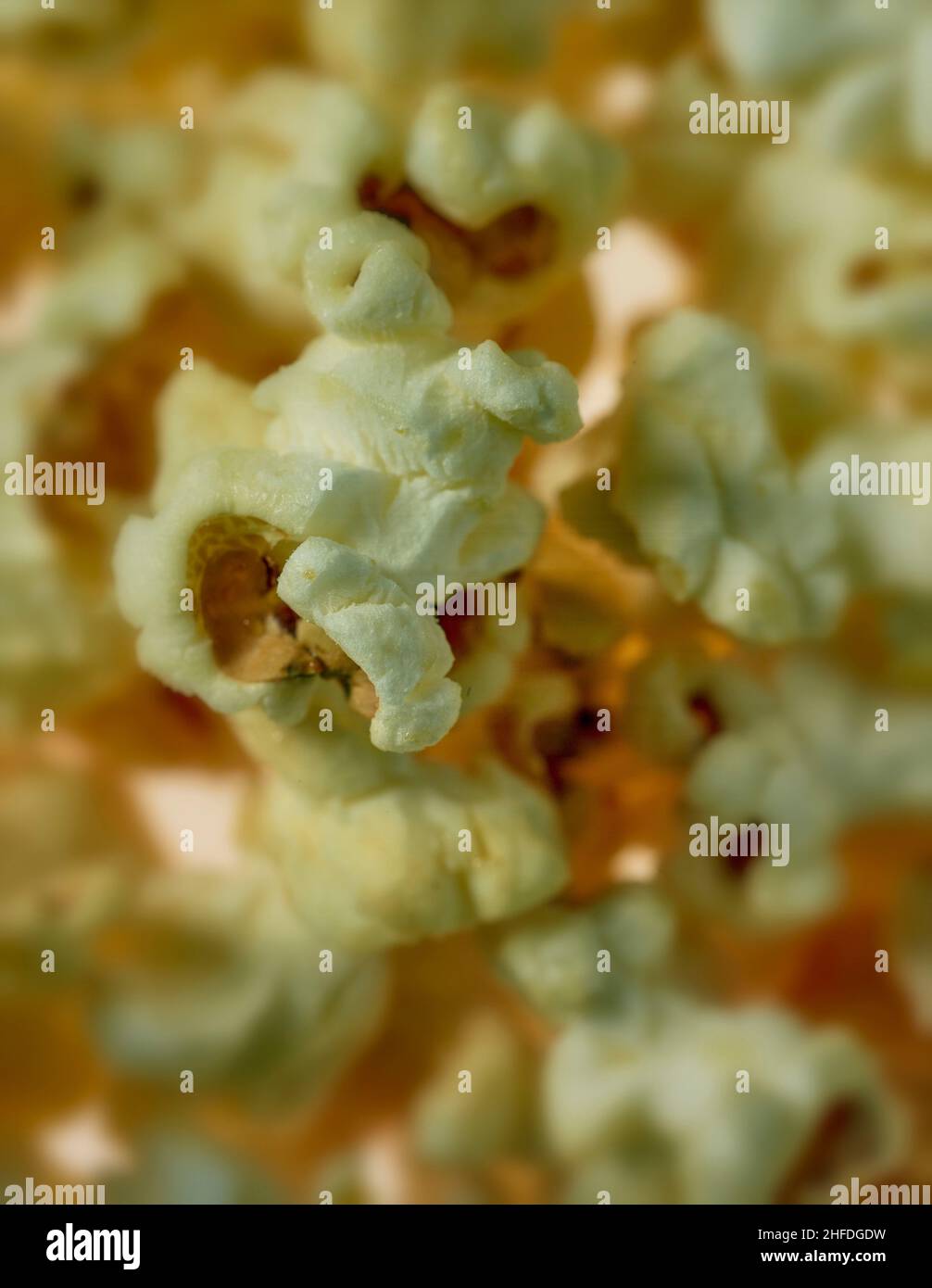 Macro food stilllife representation of popcorn, popped corn, popcorns