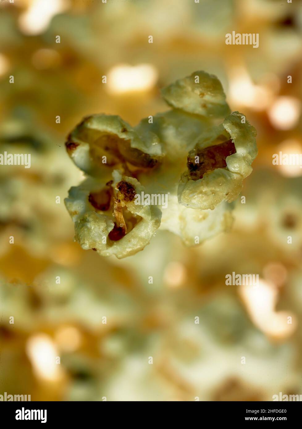 Macro food stilllife representation of popcorn, popped corn, popcorns