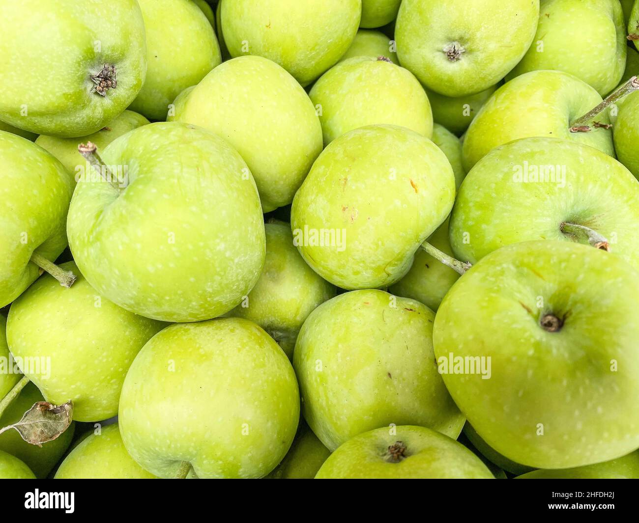 Apple is a sweet, edible fruit produced by an apple tree (Malus pumila