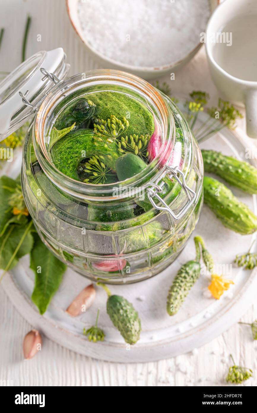 Homemade pickled cucumbers with dill, garlic and horseradish. Pickling cucumbers at home. Stock Photo