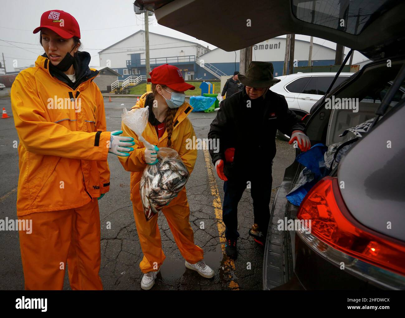 Richmond, Canada. 15th Jan, 2022. Volunteers transport fish onto