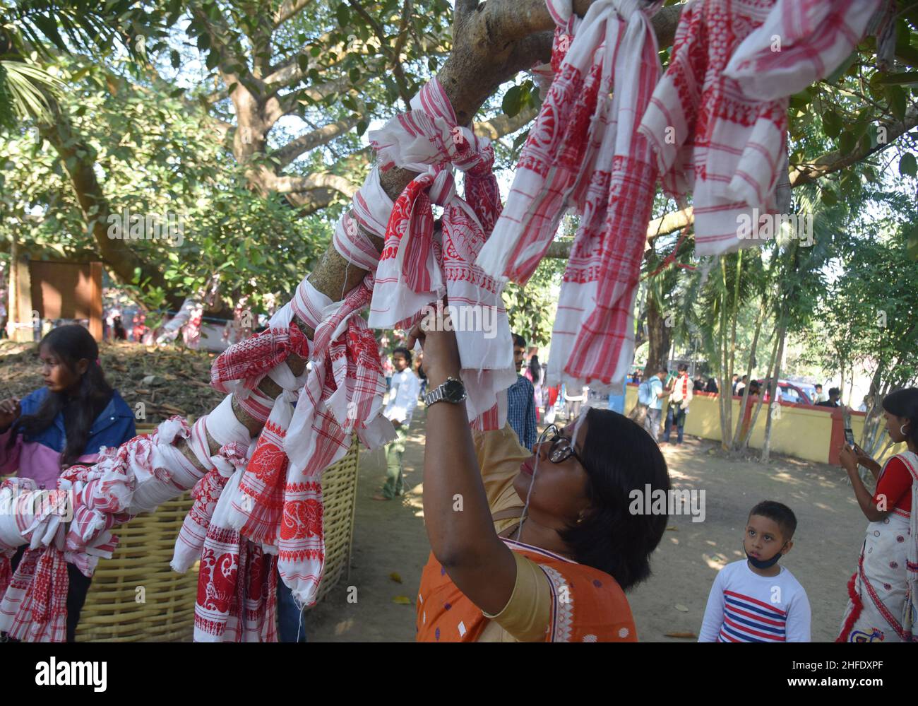 Tying in wire tree hi-res stock photography and images - Alamy