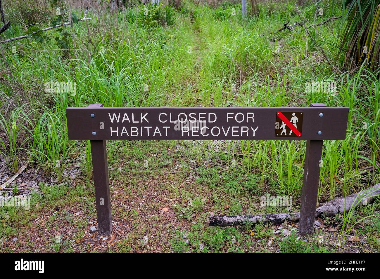 Walk Closed For Habitat Recovery sign on a walking track in Holmes Jungle in Darwin, Northern Territory, Australia Stock Photo