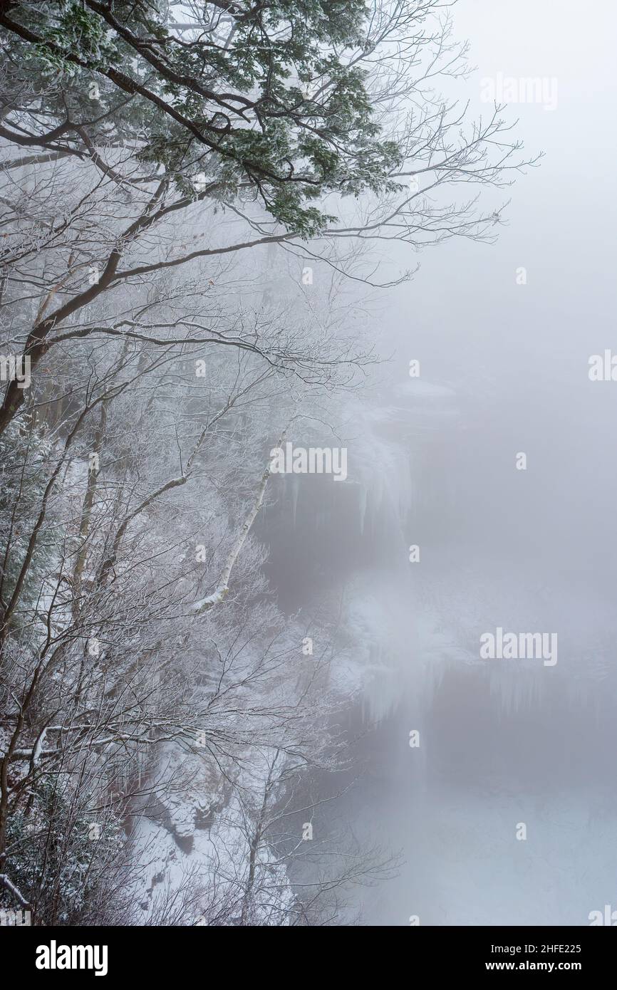 Drag lift in hoar frost, frost and fog - a Royalty Free Stock Photo from  Photocase