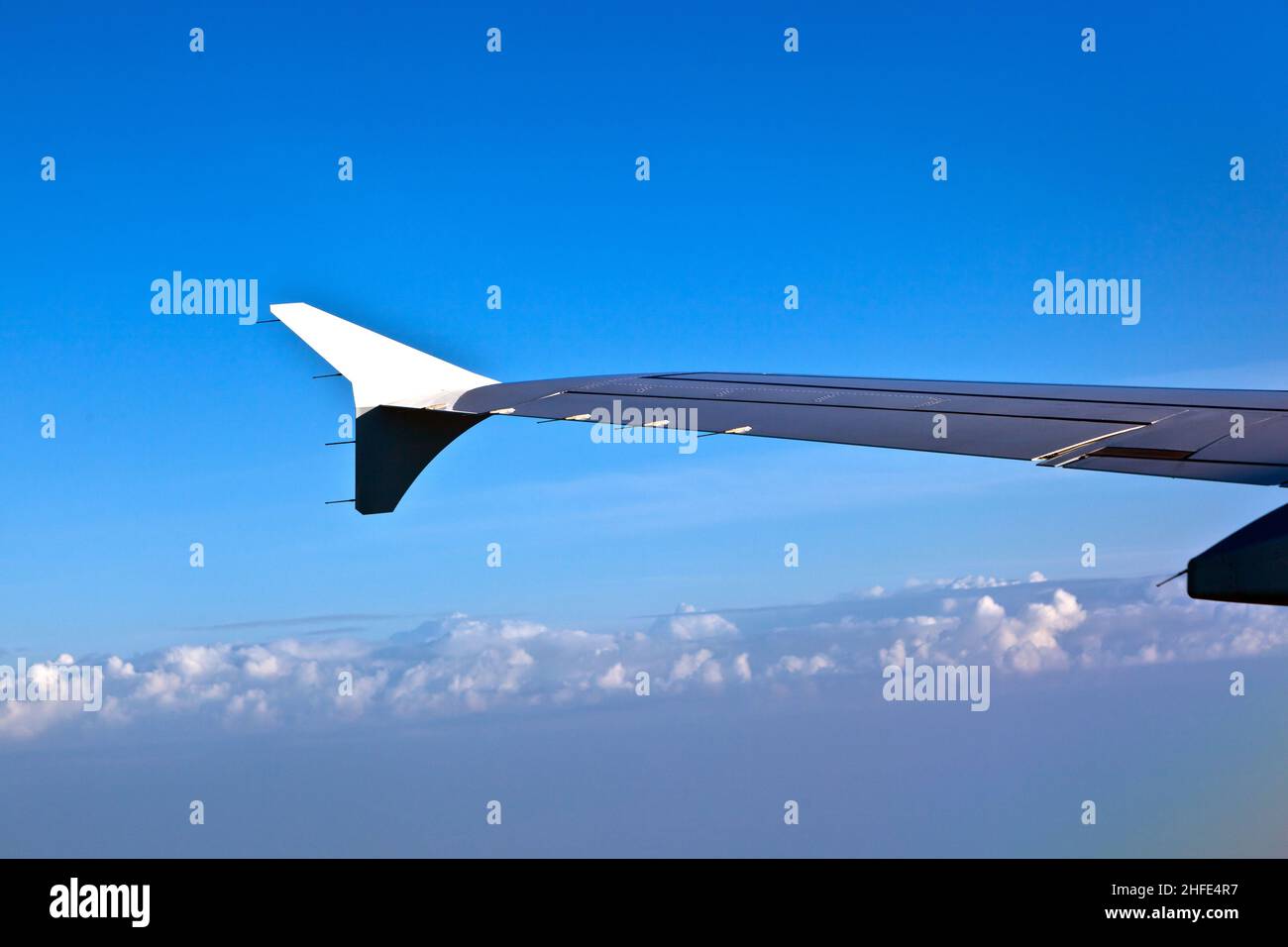 wing of aircraft in blue sky Stock Photo - Alamy