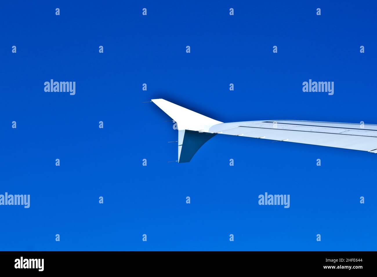 Detail under wing hi-res stock photography and images - Alamy