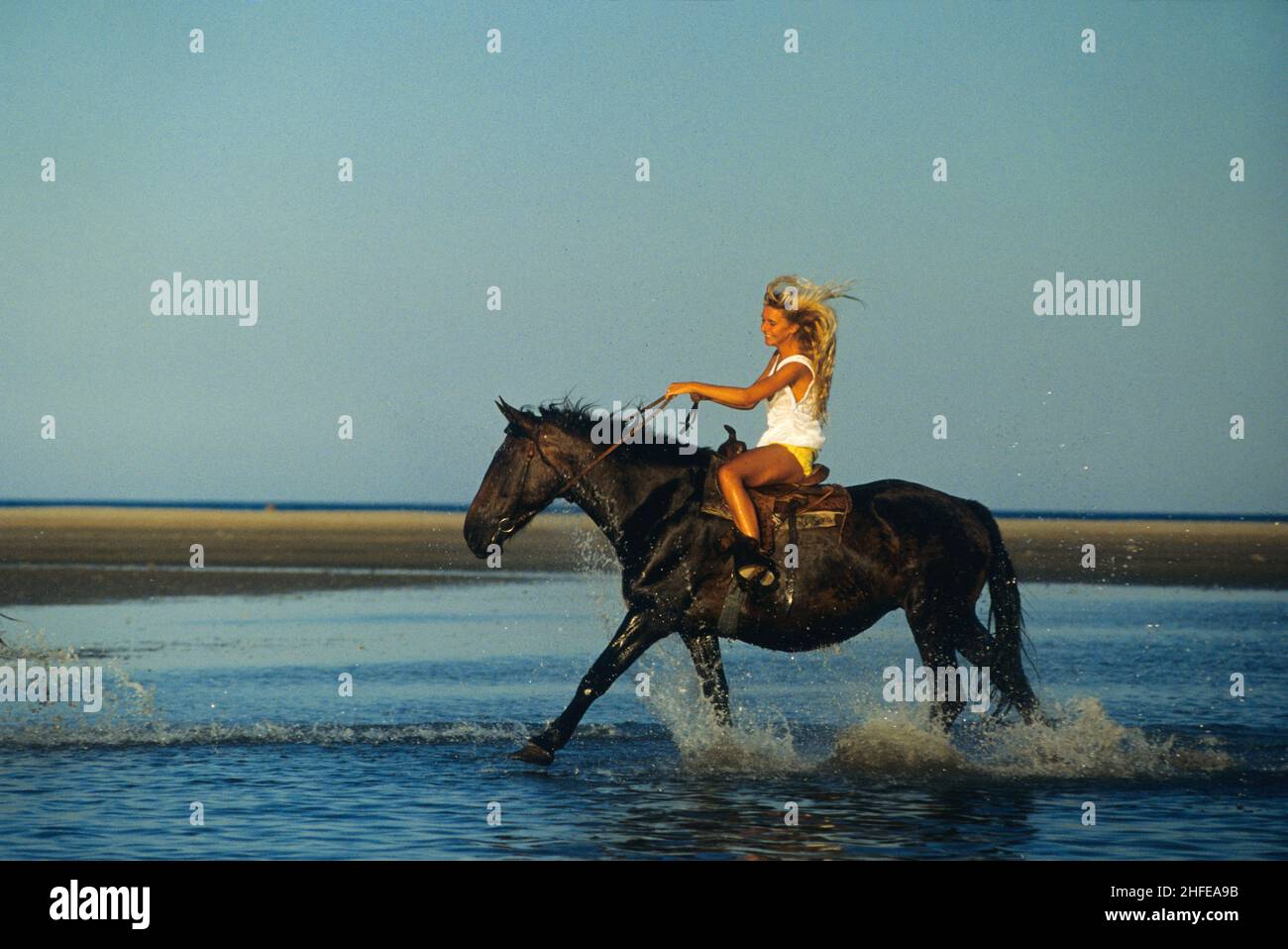 Blond hair young woman riding horse galloping on water blue sky background Stock Photo