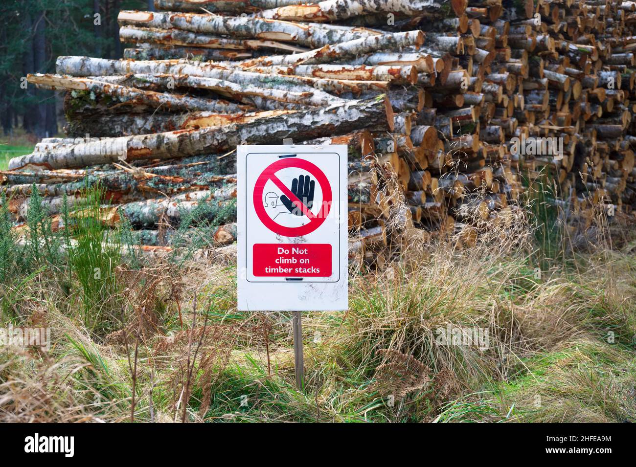 No Timber Sign Do not climb on timber stacks safety sign Stock Photo - Alamy