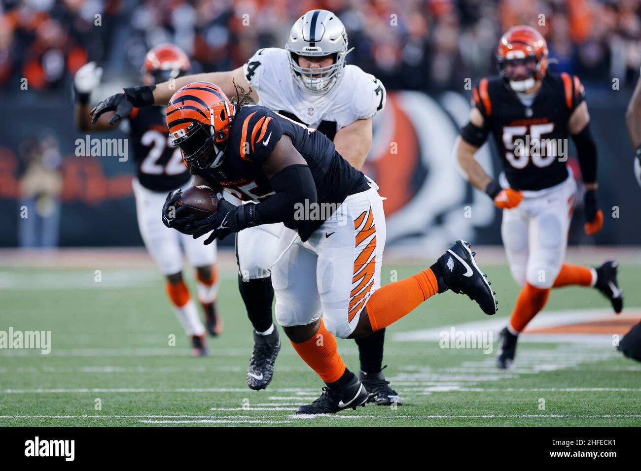 Cincinnati Bengals defensive tackle Larry Ogunjobi (65) recovers a fumble during an NFL Wild-Card Playoff football game against the Las Vegas Raiders, Stock Photo