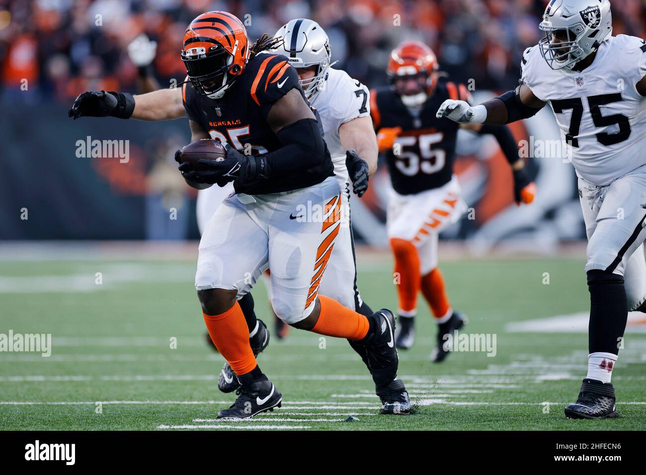 Cincinnati Bengals defensive tackle Larry Ogunjobi (65) recovers a fumble during an NFL Wild-Card Playoff football game against the Las Vegas Raiders, Stock Photo