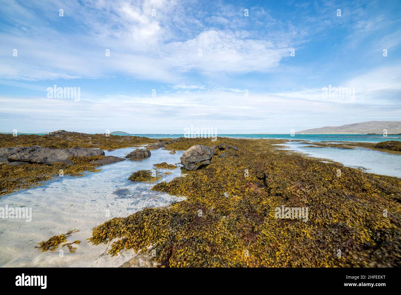 Wide angle of a rocky seaweed Scottish beach -  isle of Orosay and South Uist visible from an Eriskay beach Stock Photo