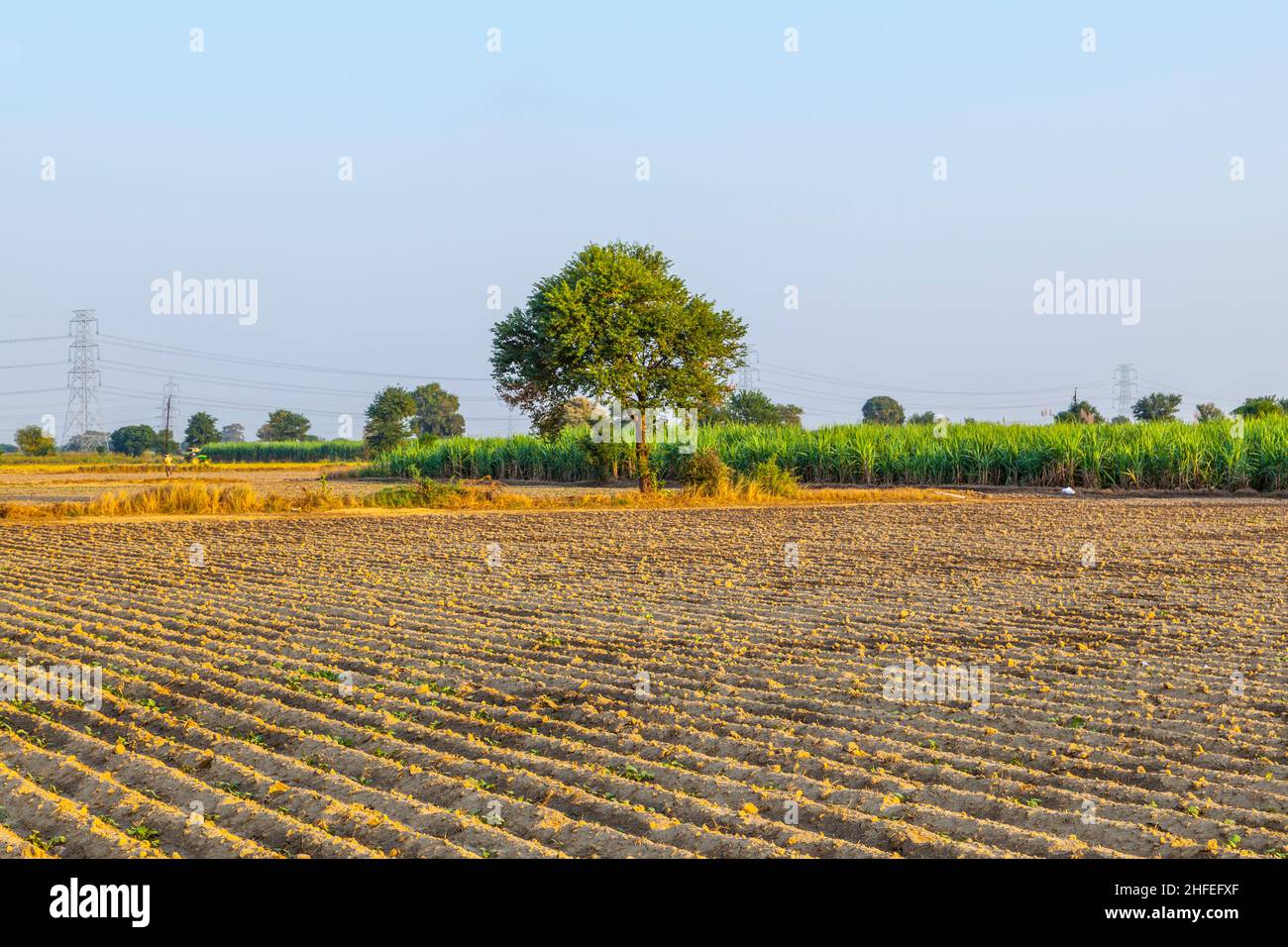 fresh plowed fields in India Stock Photo - Alamy