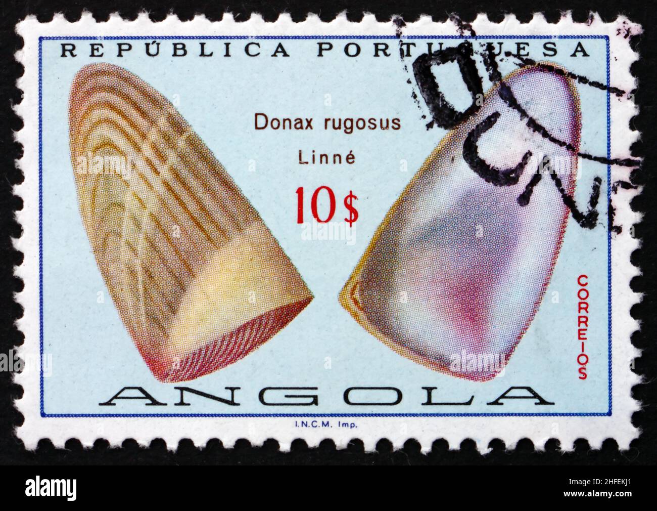PORTUGUESE ANGOLA - CIRCA 1974: a stamp printed in the Portuguese Angola shows Donax Rugosus, Sea Shell, circa 1974 Stock Photo