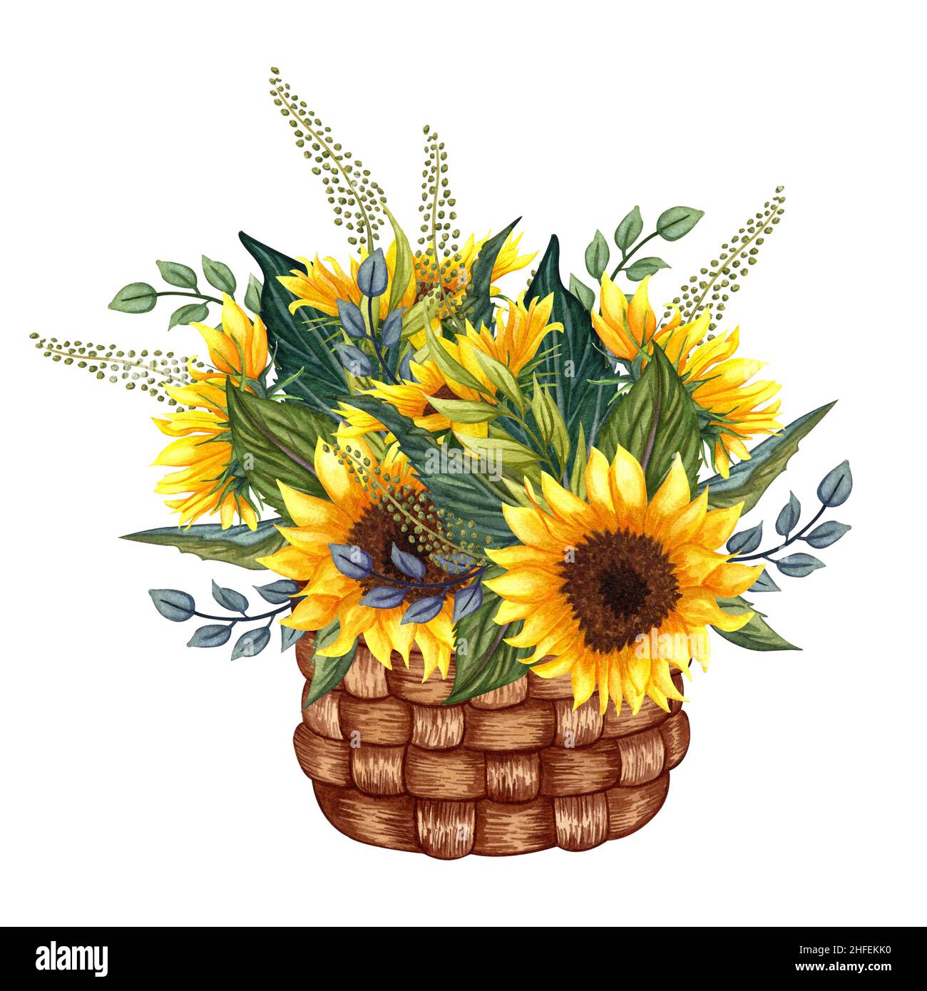 Illustration of sunflowers hi-res stock photography and images - Alamy