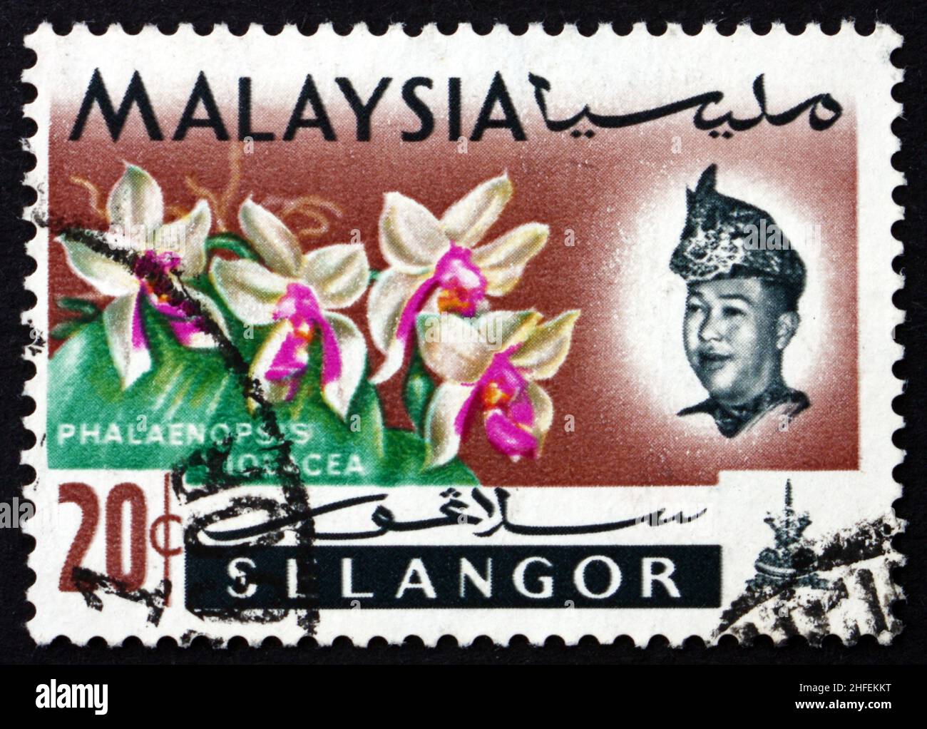 MALAYSIA - CIRCA 1965: a stamp printed in Malaysia shows Phalaenopsis Violacea, Orchid Flower, circa 1965 Stock Photo