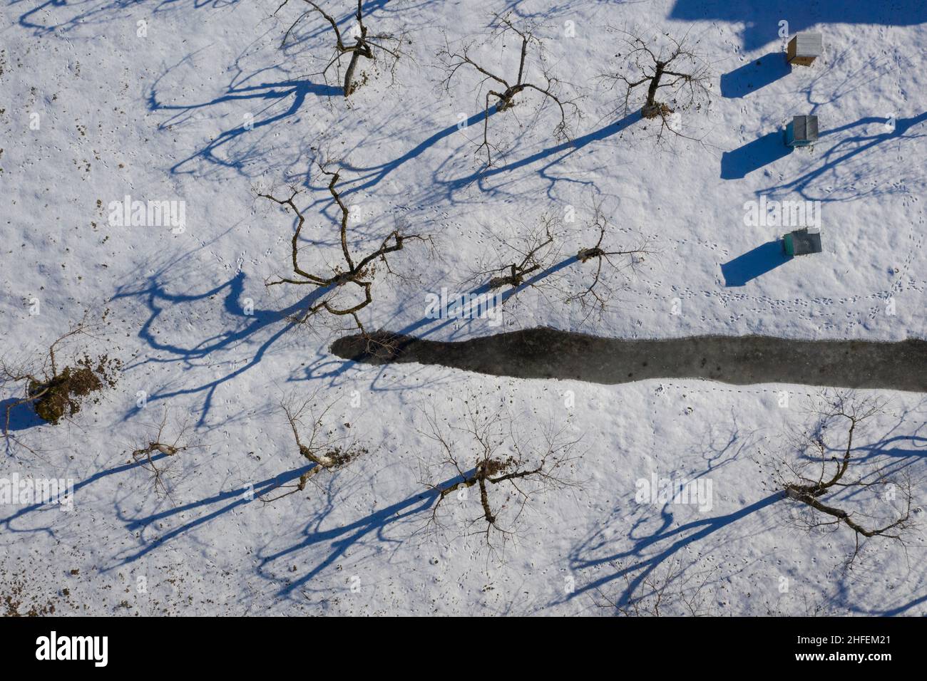 Winter old garden. Trees in the snow and beehives. Aerial photography. Stock Photo