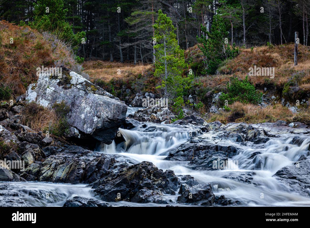Scottish Highlands ....A hidden cascading stream, Uidh fuarnach, Assynt,  NW Scotland. Water cascades around woodland into Loch Allt na h-Airbhe. Stock Photo