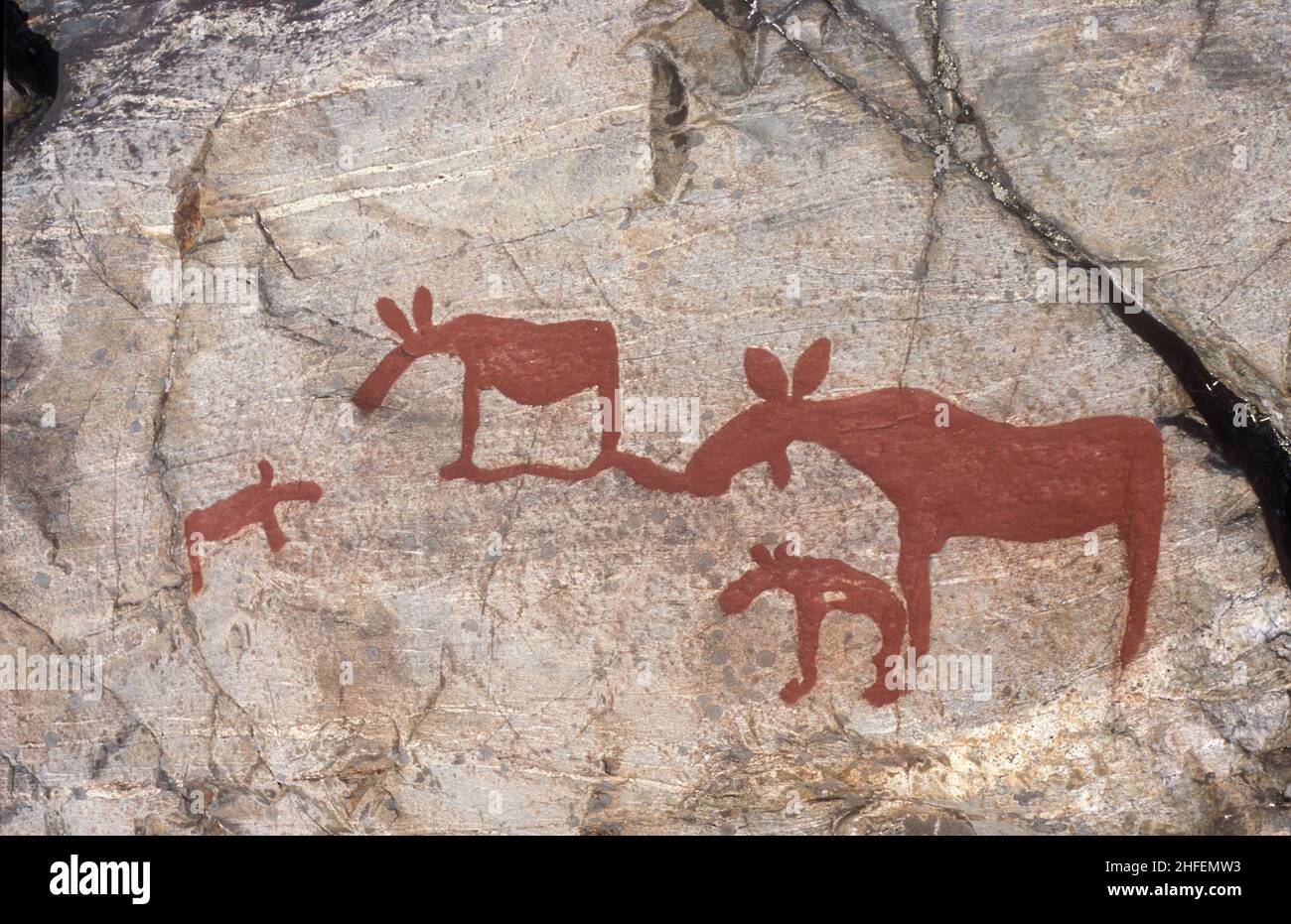 Old rock carvings, oldest made around 4500 B.C, analog. About 2600