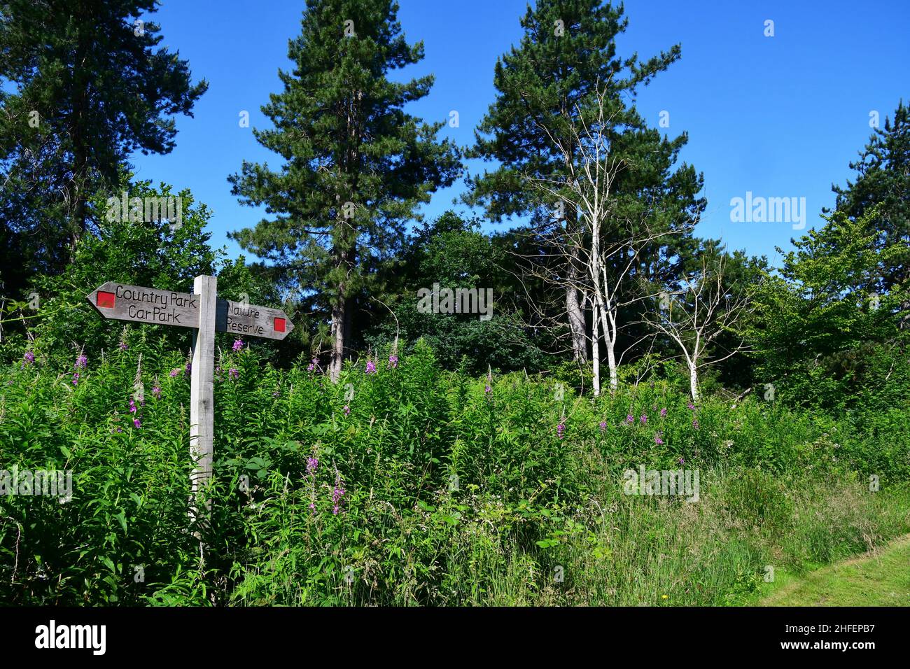 Snipe Dales Country Park and Nature Reserve, Lincolnshire, UK Stock ...