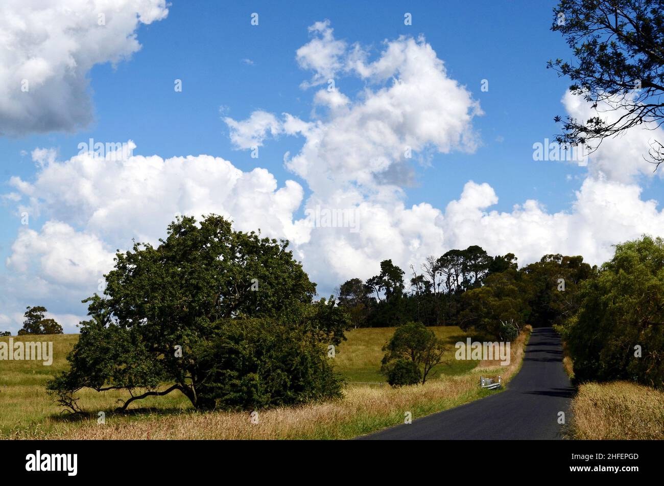 A road in the countryside between Lithgow and Bathurst in New Soth Wales, Australia Stock Photo