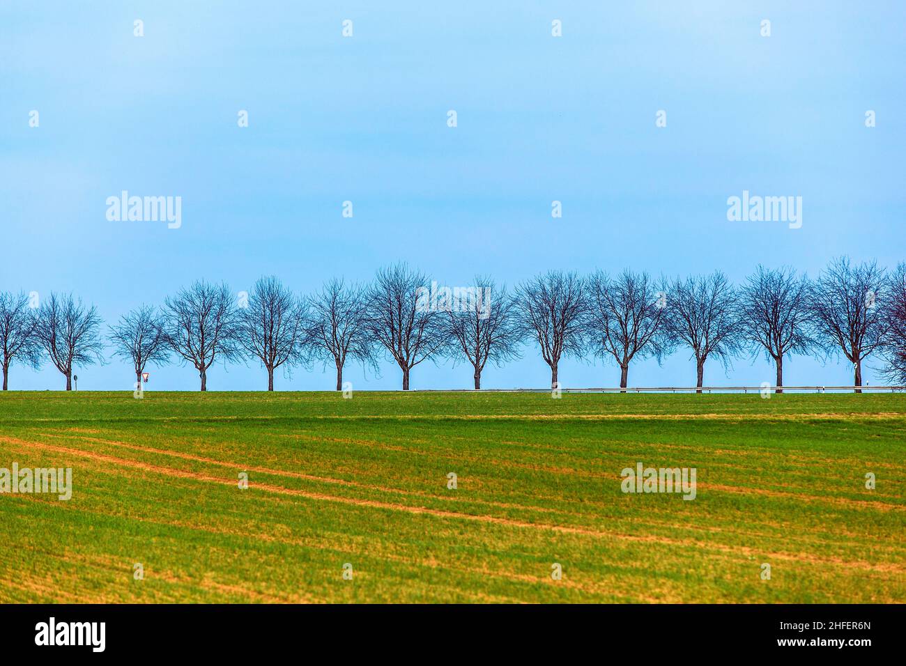 Field Trees Rows Tree field acre row hi-res stock photography and images - Alamy