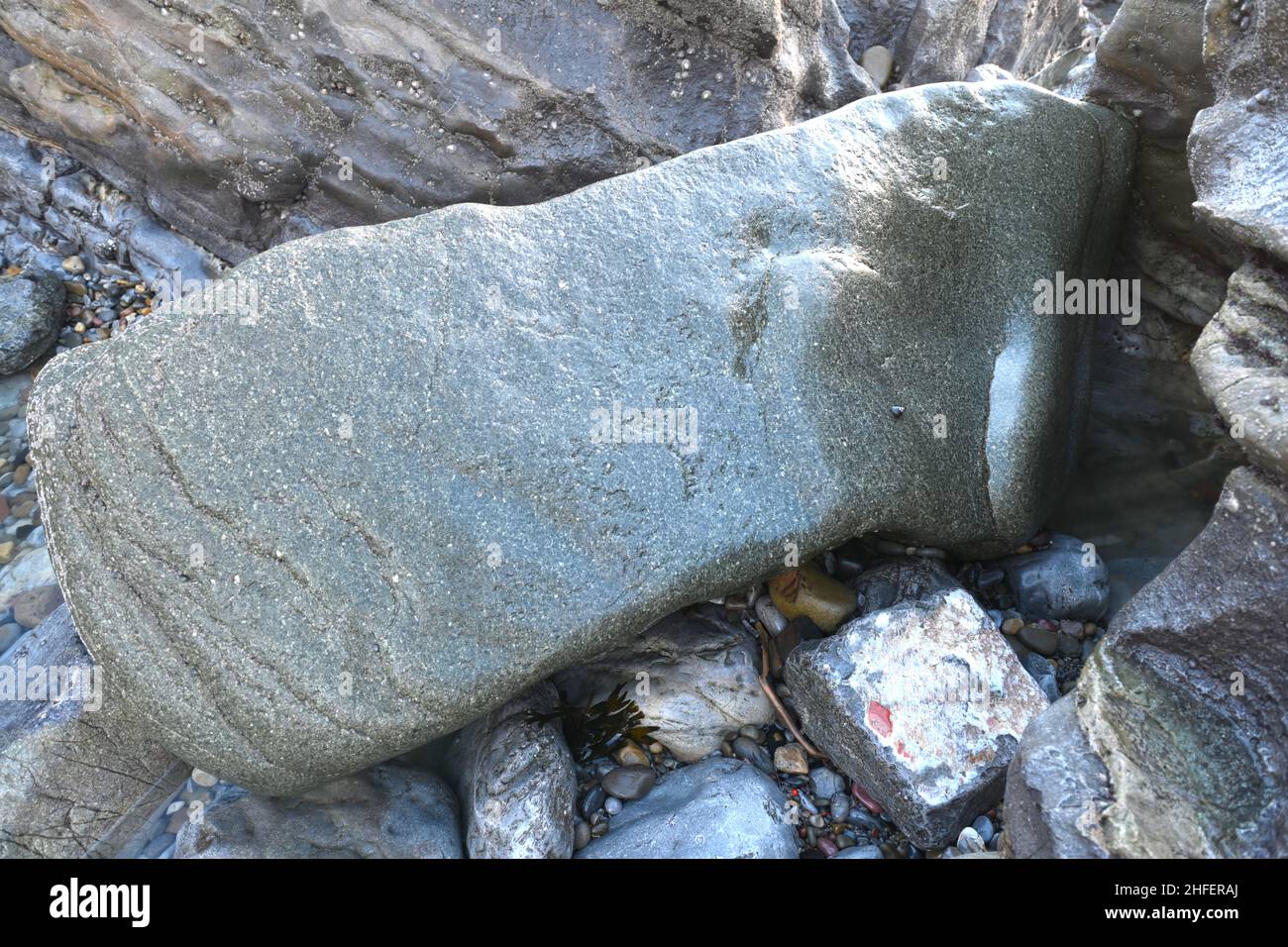 Green dolerite erratic carried on Irish Sea Glacier from Preseli to Mumbles c 19000 years ago. Stone such as this was used to construct Stonehenge. Stock Photo