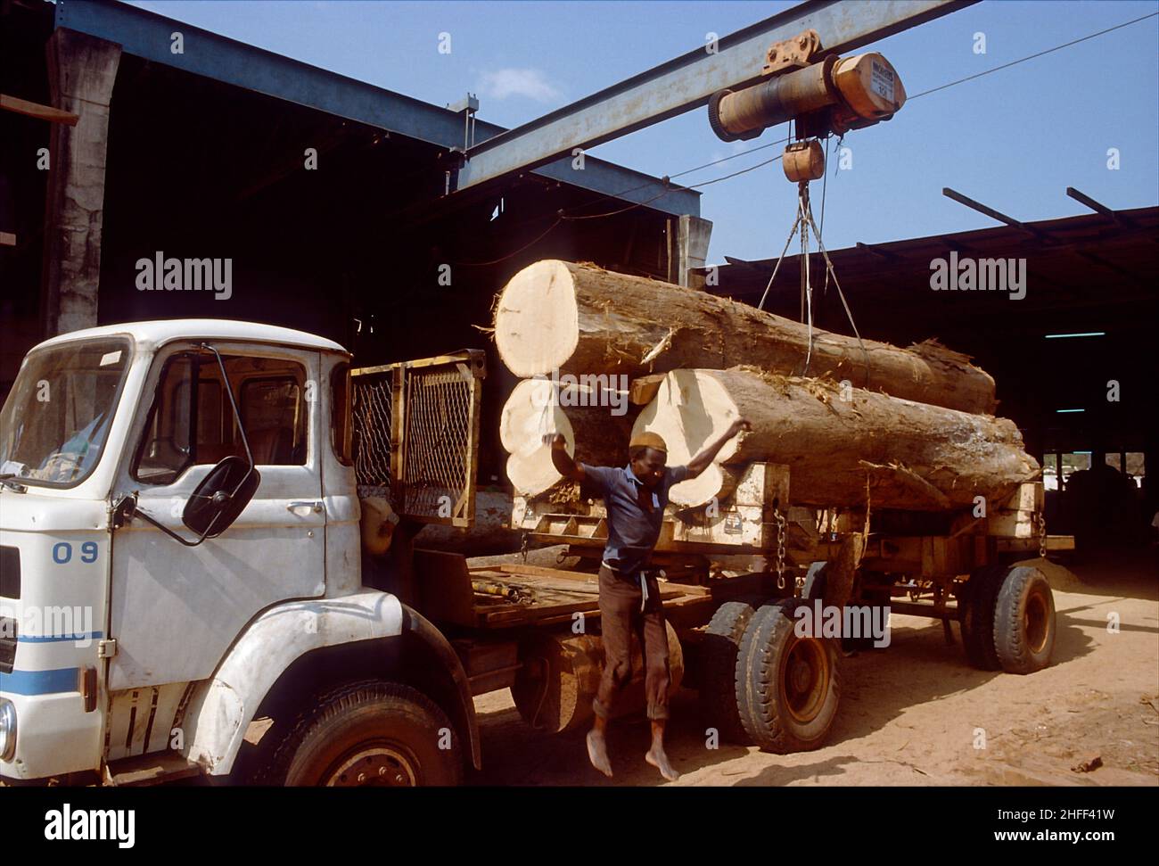 Unloading tree trunks at a sawmill in Ghana, West Africa. Stock Photo
